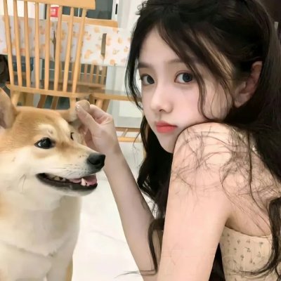 熊出没之雪岭熊风